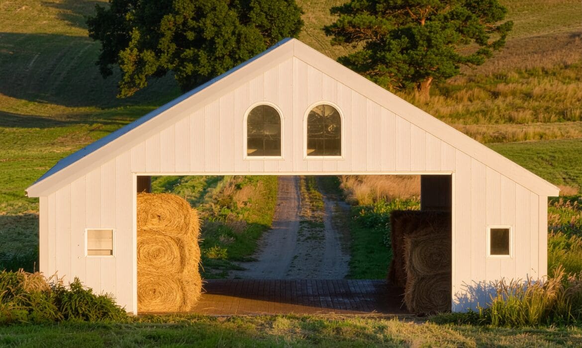 Hay barn with ridge ventilation, open access, and elevated floor for moisture control