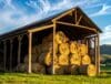 Hay Barns post-frame services: hay storage tips