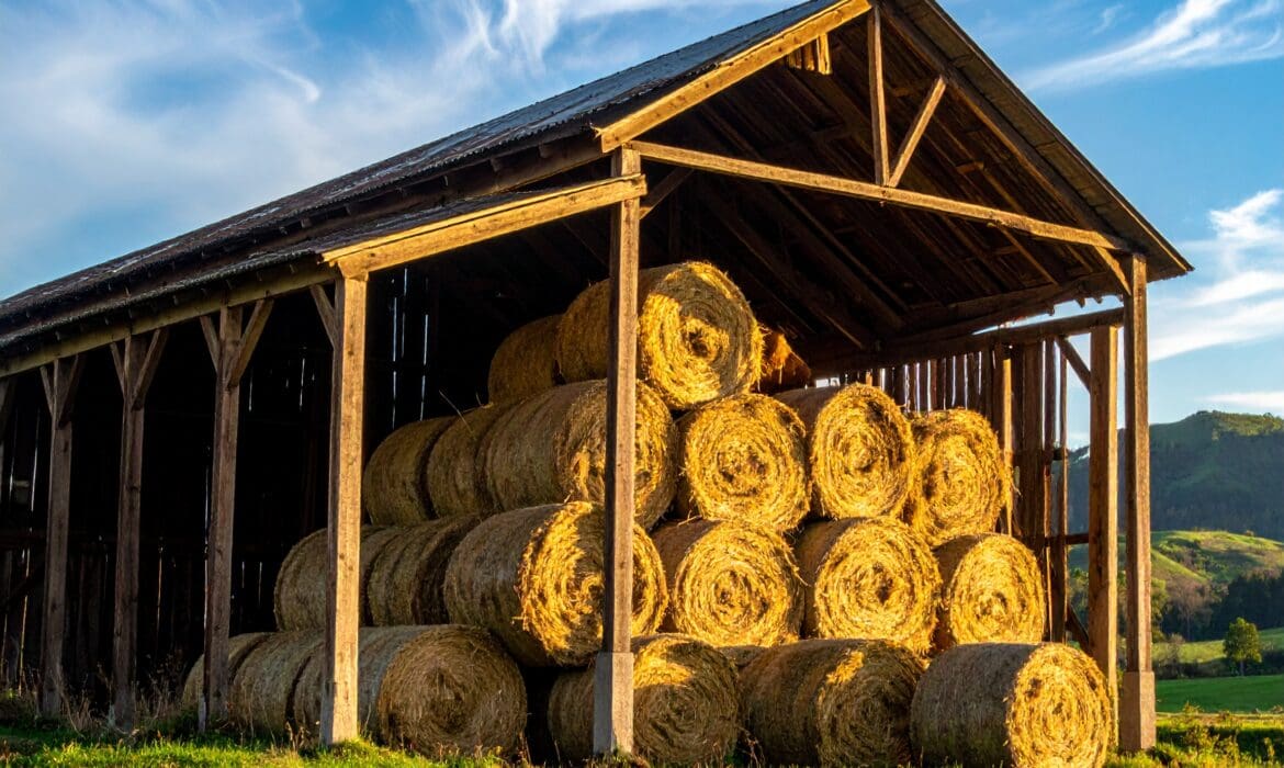 Hay Barns post-frame services: hay storage tips