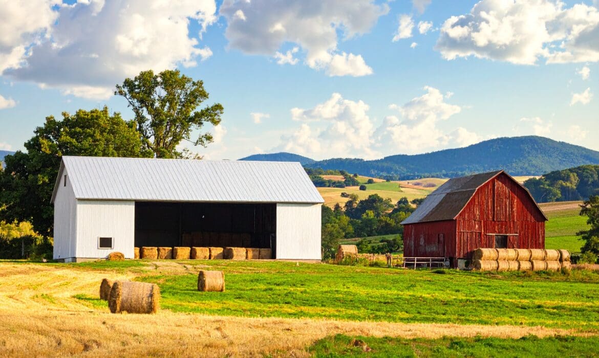 Pole barn and traditional barn side by side showing hay storage options